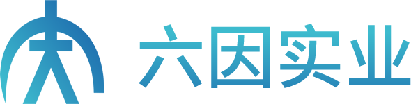武汉六因实业有限公司
